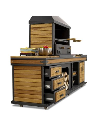 Barbecue cuisine d'été Appolo large + évier