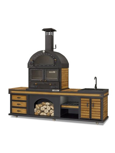 Barbecue cuisine Dionysos Large + évier